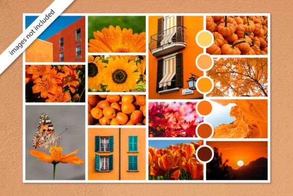 Download Orange Photo Collage Moodboard Template - Orange Collection