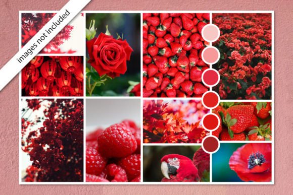 Download Photo Collage Moodboard Template in Red - Red Collection