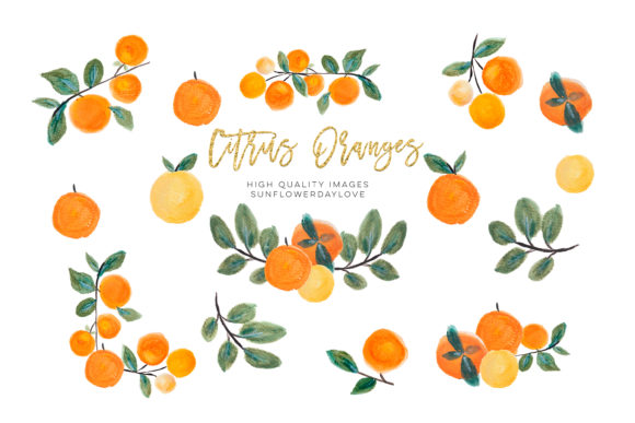 Download Orange Clip Art, Oranges Fruits Clipart - Premium Resources